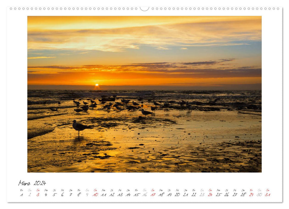 North Sea - simply sea (CALVENDO Premium Wall Calendar 2024) 
