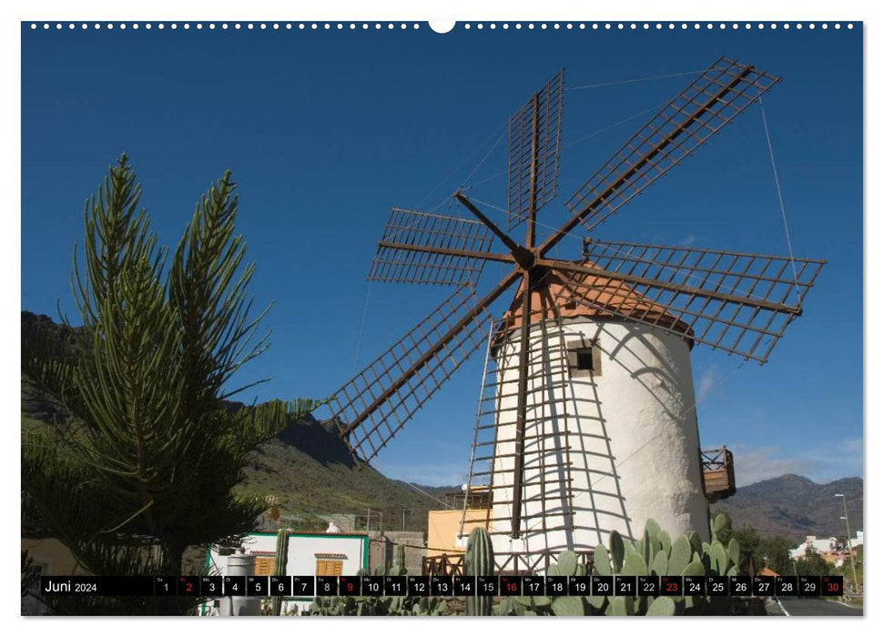 Windmühlen in Europa (CALVENDO Premium Wandkalender 2024)