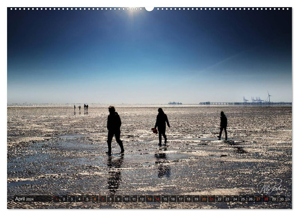 Friesland - Watt and North Sea / CH version (CALVENDO Premium Wall Calendar 2024) 