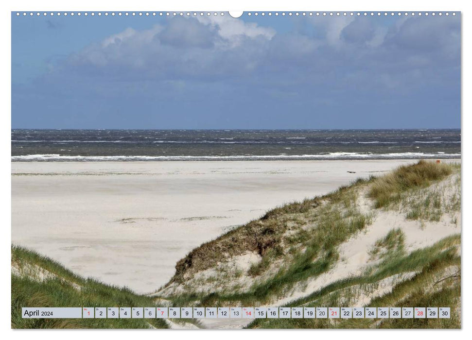 Amrum - atmospheric North Sea pictures (CALVENDO Premium Wall Calendar 2024) 