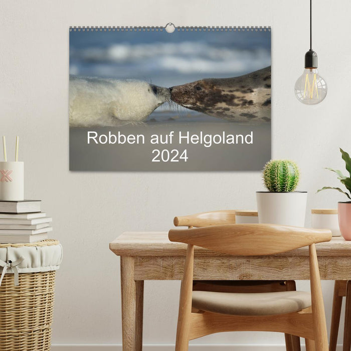 Seals on Heligoland 2024 (CALVENDO wall calendar 2024) 