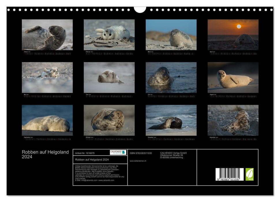 Seals on Heligoland 2024 (CALVENDO wall calendar 2024) 