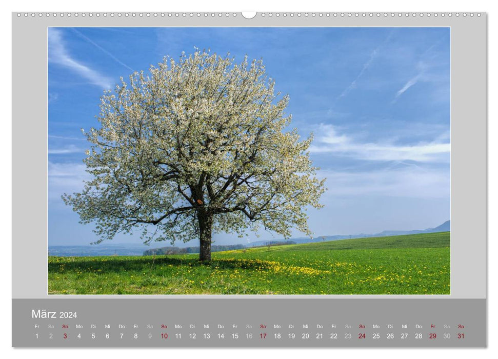 Switzerland - Impressions of the idyllic mountain world over the seasons (CALVENDO wall calendar 2024) 