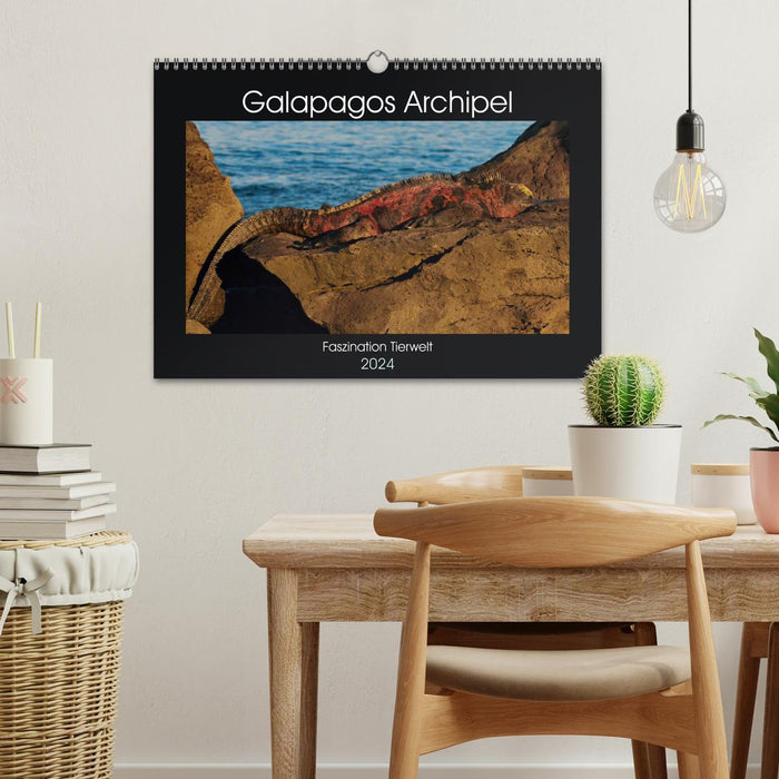 Galapagos Archipelago - Fascination with Wildlife (CALVENDO Wall Calendar 2024) 