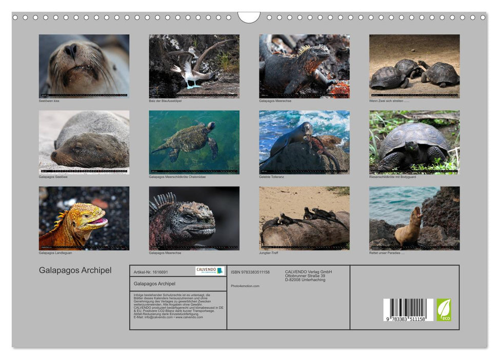 Galapagos Archipel- Faszination Tierwelt (CALVENDO Wandkalender 2024)