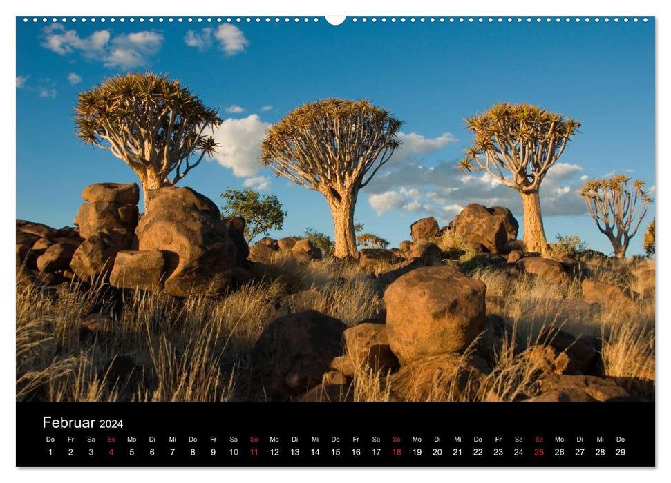 Namibia's Highlights (CALVENDO Premium Wall Calendar 2024) 