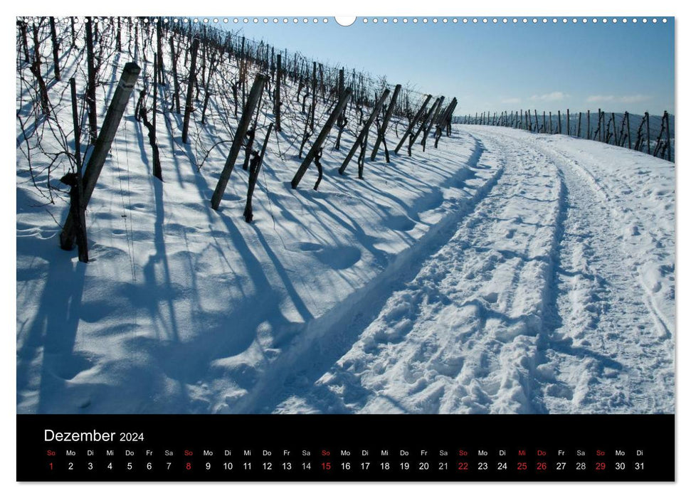 Vineyards in the Remstal (CALVENDO wall calendar 2024) 