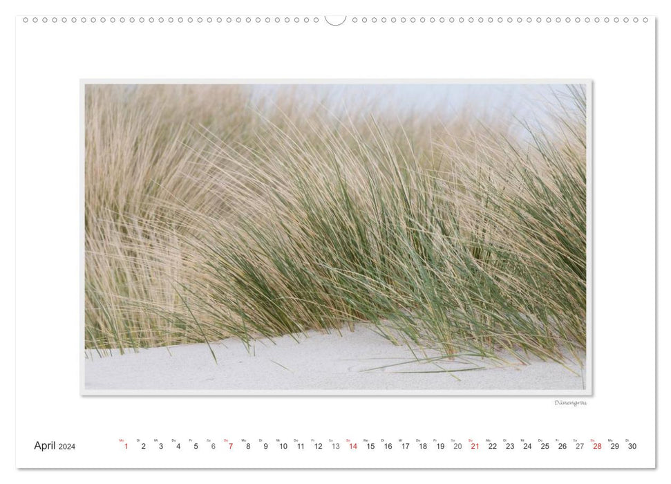 Emotional moments: Helgoland – Germany’s only offshore island. (CALVENDO wall calendar 2024) 