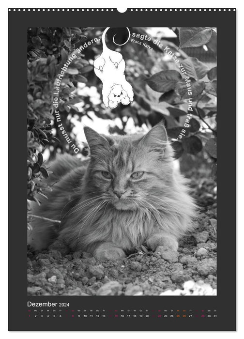 Cat &amp; Mouse (CALVENDO Premium Wall Calendar 2024) 