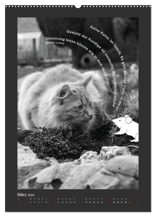 Cat &amp; Mouse (CALVENDO Premium Wall Calendar 2024) 