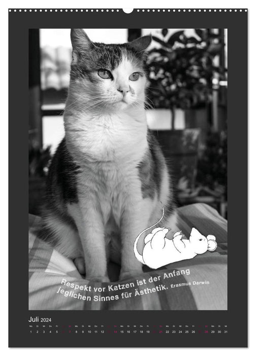 Chat et souris (Calendrier mural CALVENDO Premium 2024) 