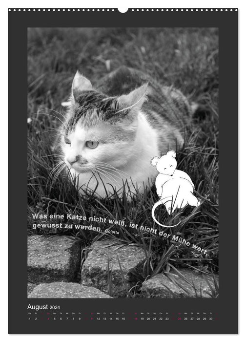 Cat &amp; Mouse (CALVENDO Premium Wall Calendar 2024) 