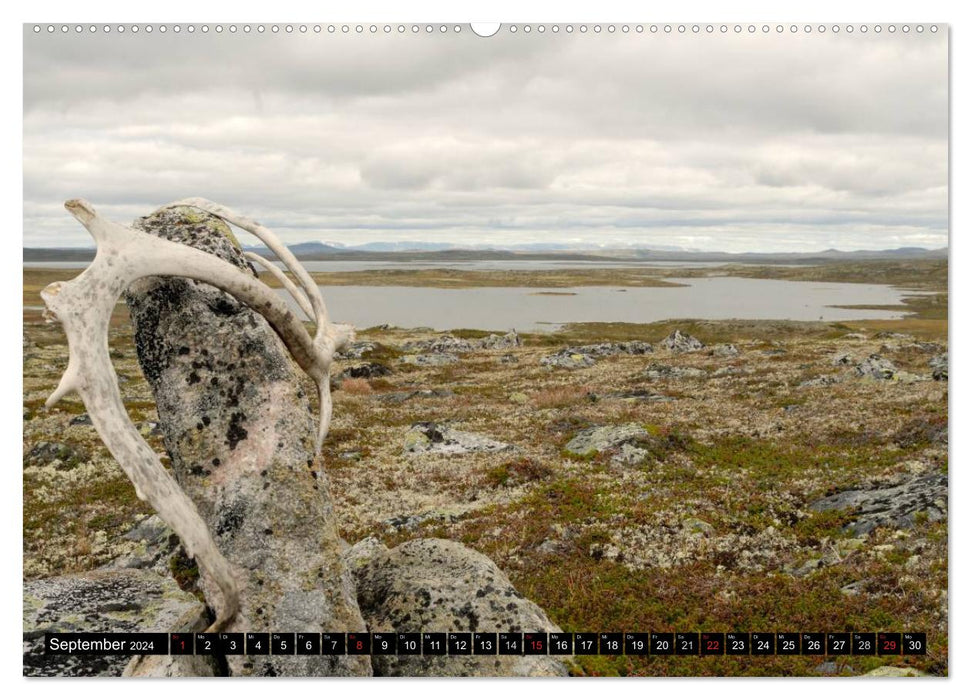 Incursion à travers le Hardangervidda en Norvège (calendrier mural CALVENDO 2024) 