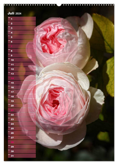 Rosen für DICH / Geburtstagskalender (CALVENDO Wandkalender 2024)
