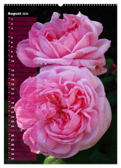 Roses pour VOUS / Calendrier d'anniversaire (Calvendo mural CALVENDO 2024) 