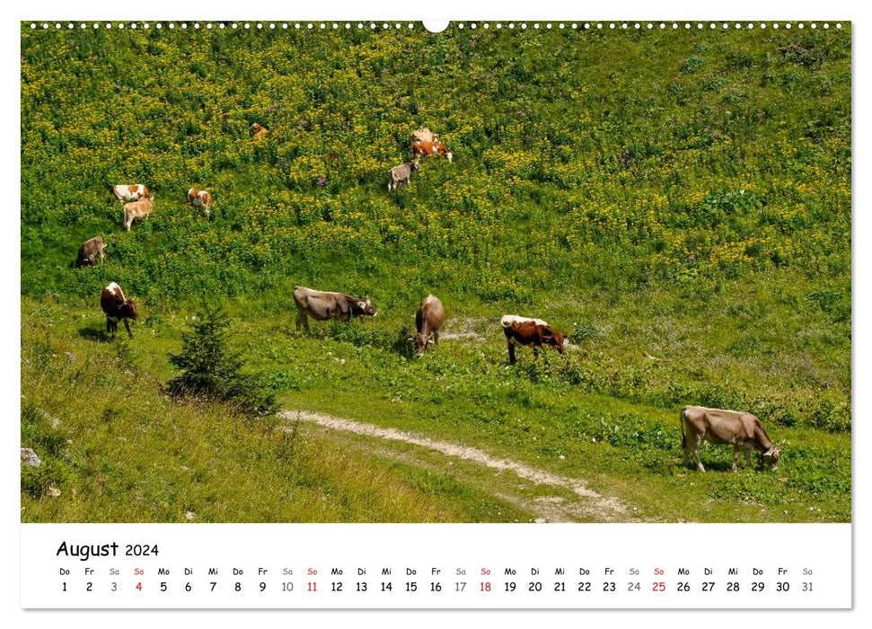 On the road in the Allgäu (CALVENDO wall calendar 2024) 