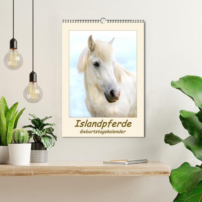 Calendrier d'anniversaire des chevaux islandais (calendrier mural CALVENDO 2024) 