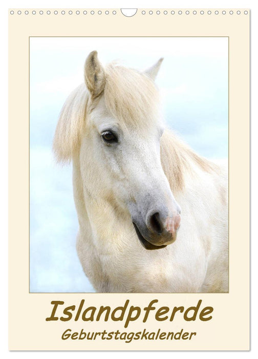 Icelandic Horses Birthday Calendar (CALVENDO Wall Calendar 2024) 