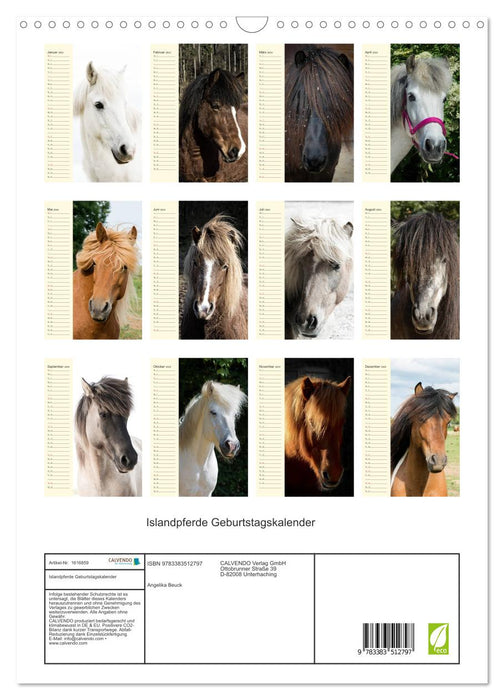 Calendrier d'anniversaire des chevaux islandais (calendrier mural CALVENDO 2024) 