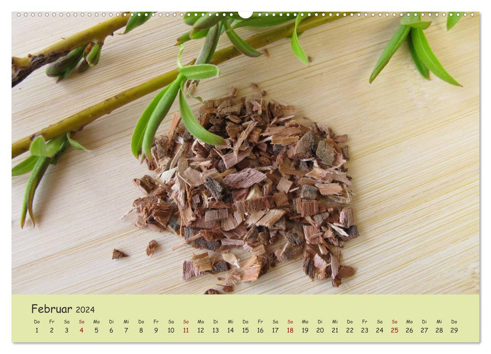 Heal naturally with plant power (CALVENDO Premium Wall Calendar 2024) 