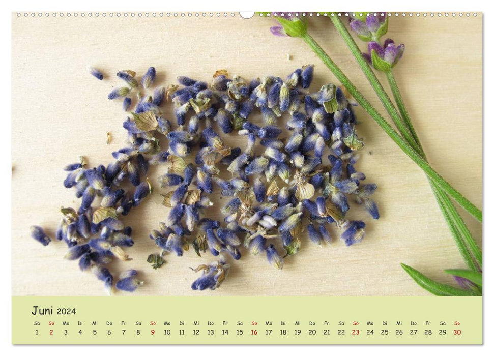 Heal naturally with plant power (CALVENDO Premium Wall Calendar 2024) 