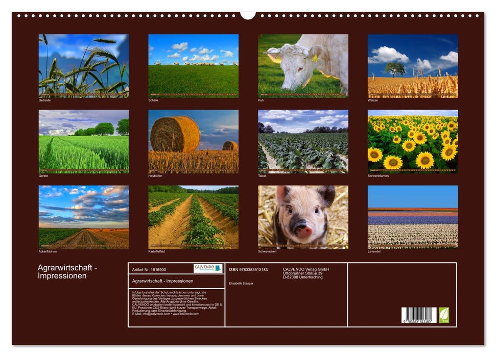 Agriculture - Impressions (Calendrier mural CALVENDO 2024) 