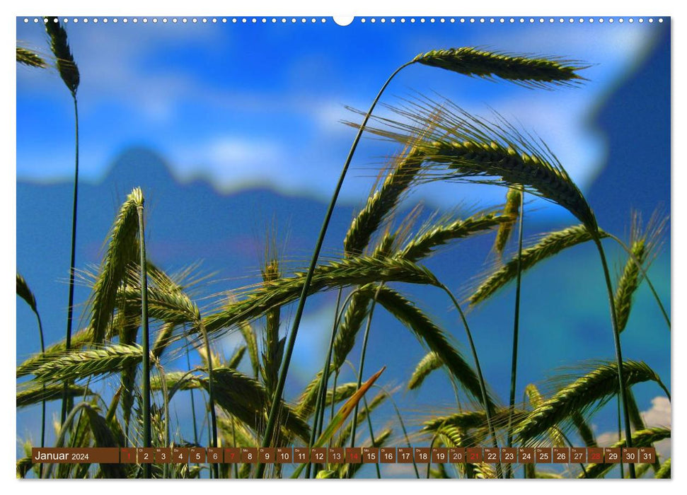 Agriculture - Impressions (CALVENDO wall calendar 2024) 