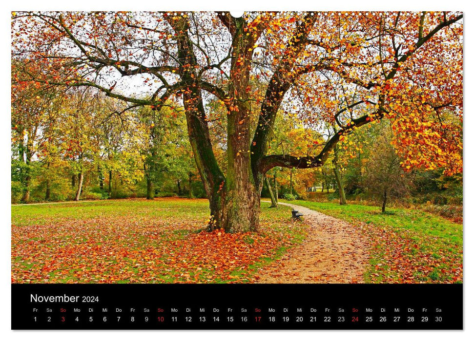 Quatre saisons (Calvendo Premium Wall Calendar 2024) 