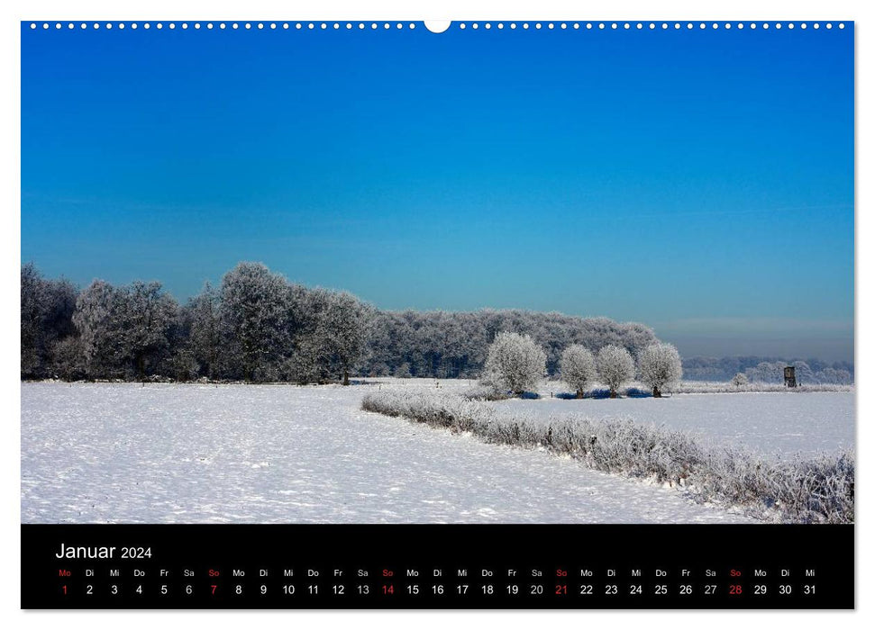 Four Seasons (CALVENDO Premium Wall Calendar 2024) 