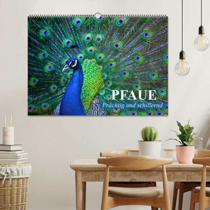 Peacocks. Magnificent and dazzling (CALVENDO wall calendar 2024) 
