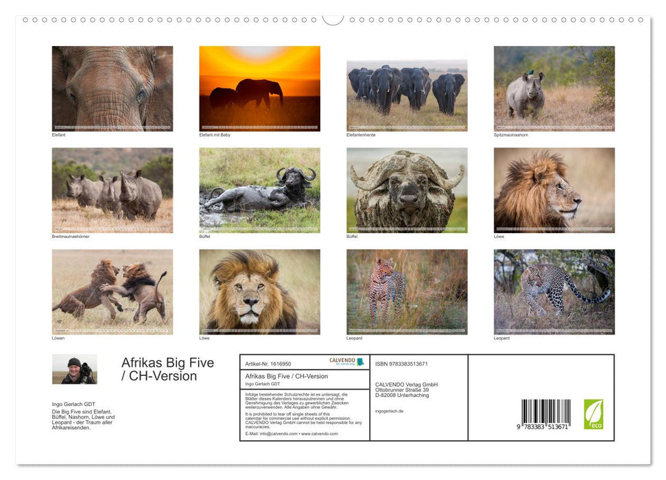 Emotionale Momente: Afrikas Big Five / CH-Version (CALVENDO Premium Wandkalender 2024)