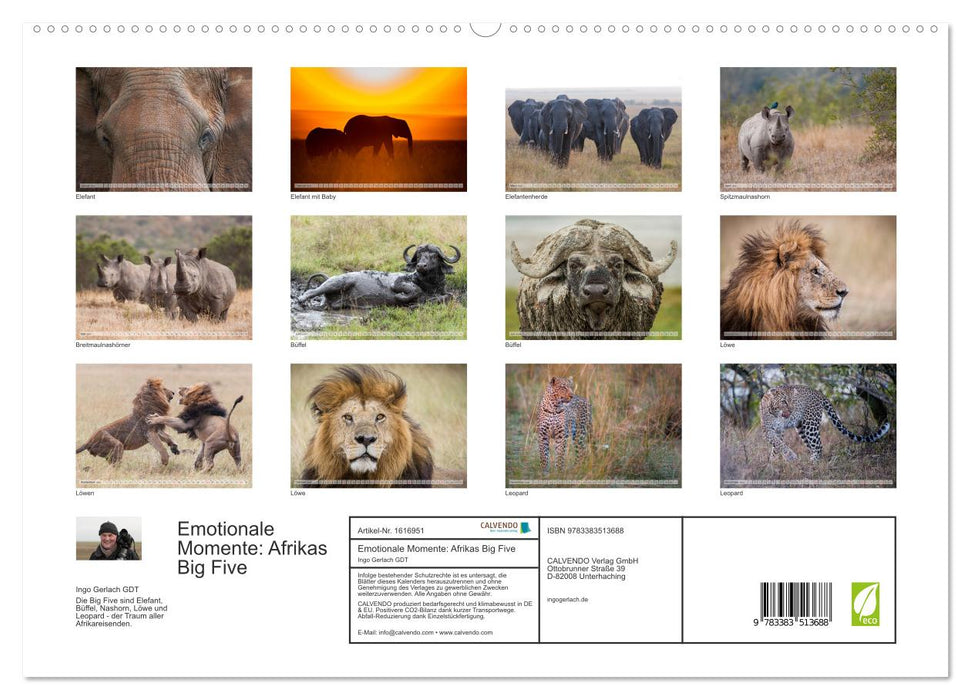 Moments d'émotion : les Big Five de l'Afrique (Calendrier mural CALVENDO Premium 2024) 