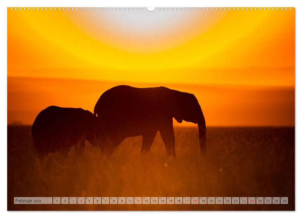 Moments d'émotion : les Big Five de l'Afrique (Calendrier mural CALVENDO Premium 2024) 