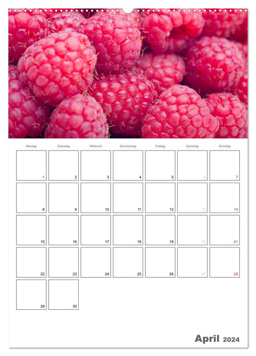 Fresh kitchen - The helpful monthly planner / planner (CALVENDO wall calendar 2024) 