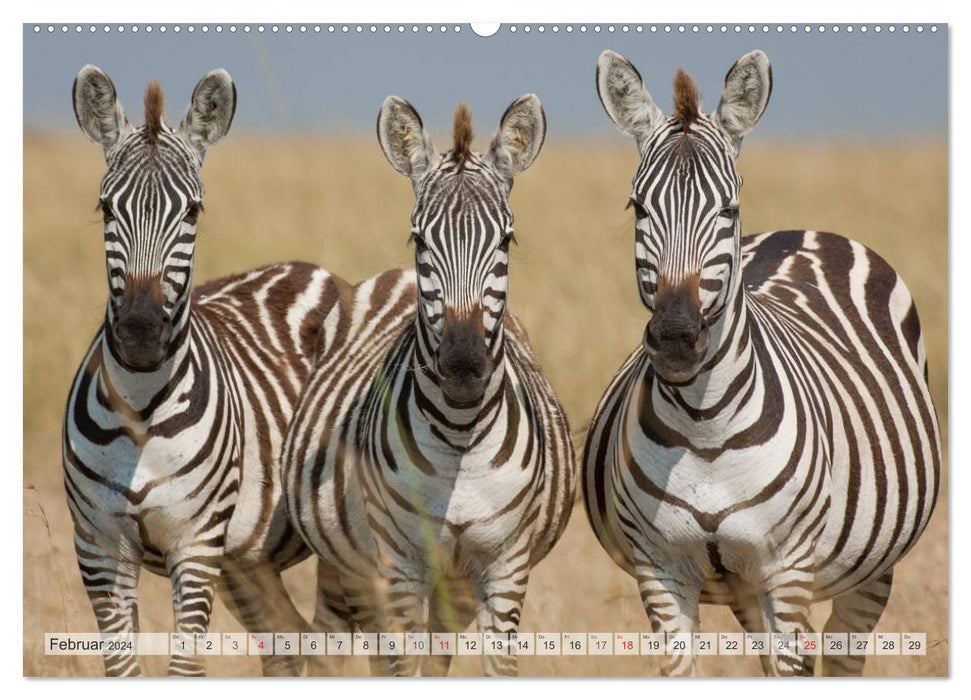 Emotionale Momente: Afrika Wildlife. Part 3. / CH-Version (CALVENDO Premium Wandkalender 2024)