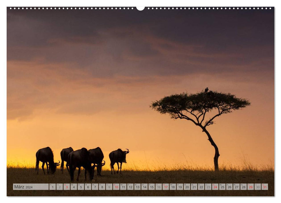Moments d'émotion : la faune africaine. Partie 3. / Version CH (calendrier mural CALVENDO Premium 2024) 