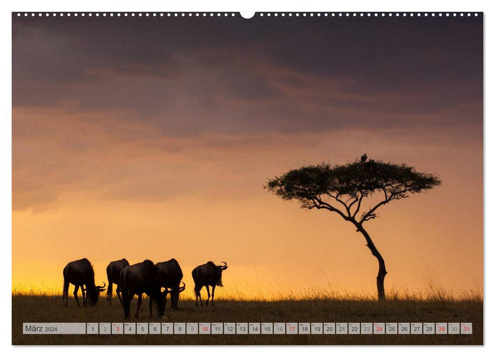 Emotionale Momente: Afrika Wildlife. Part 3. / CH-Version (CALVENDO Premium Wandkalender 2024)