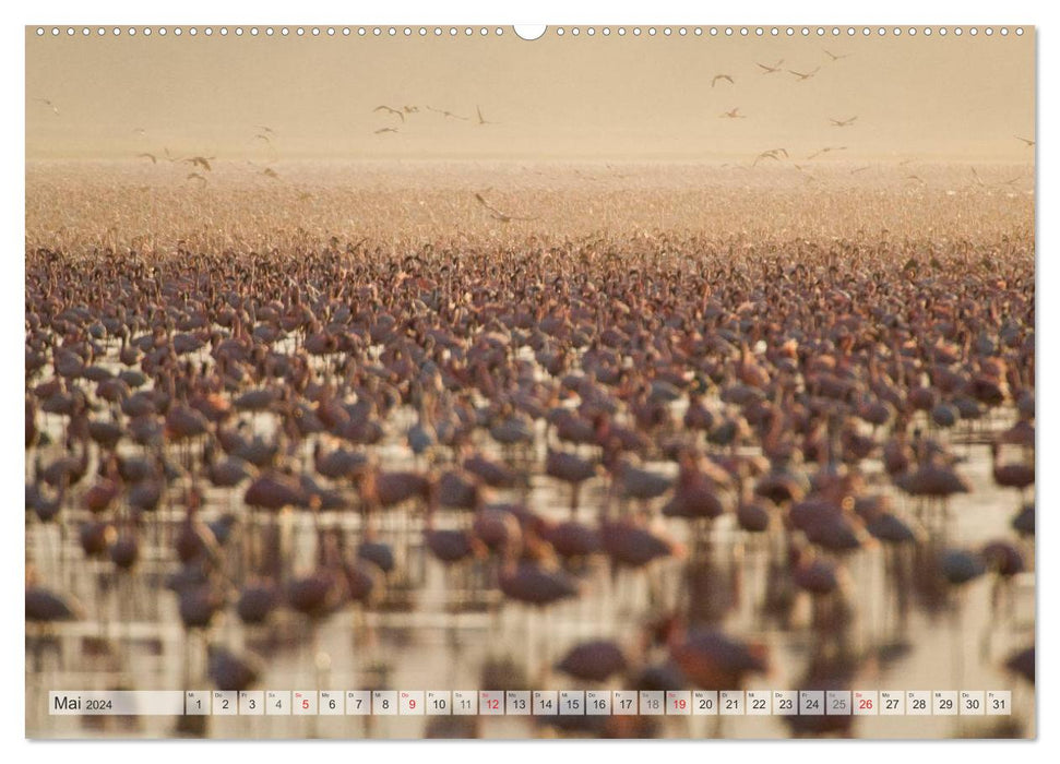 Emotionale Momente: Afrika Wildlife. Part 3. / CH-Version (CALVENDO Premium Wandkalender 2024)