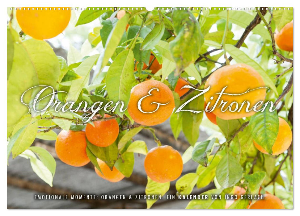 Emotional moments: oranges &amp; lemons. (CALVENDO wall calendar 2024) 