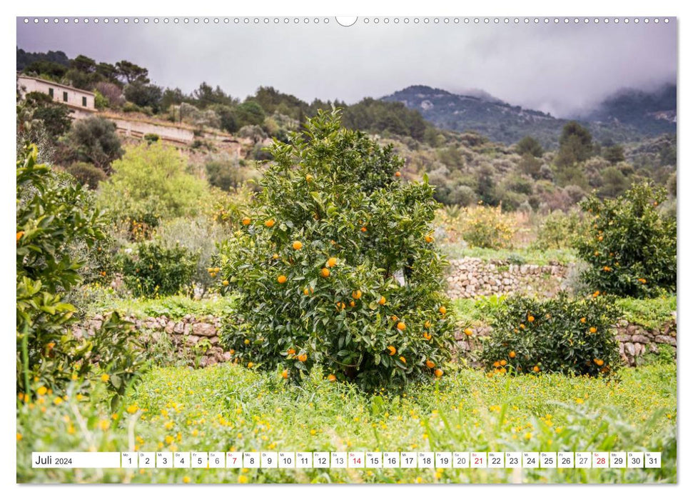 Emotional moments: oranges &amp; lemons. (CALVENDO wall calendar 2024) 