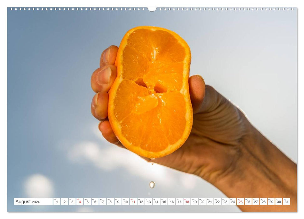 Emotionale Momente: Orangen & Zitronen. (CALVENDO Wandkalender 2024)