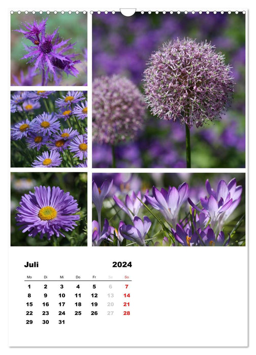 Blüten Collagen (CALVENDO Wandkalender 2024)