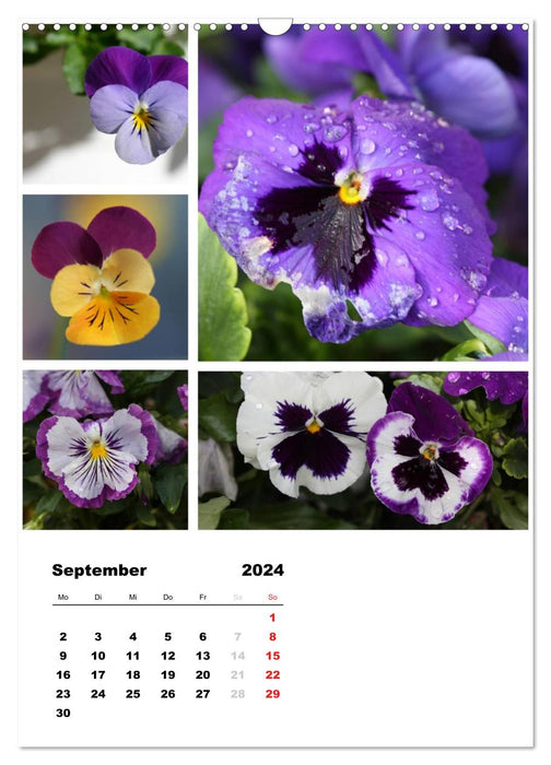 Blüten Collagen (CALVENDO Wandkalender 2024)