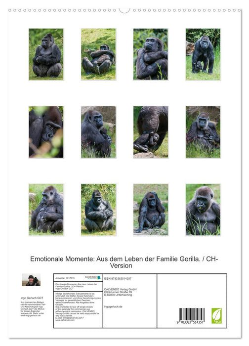 Emotional moments: From the life of the Gorilla family. / CH version (CALVENDO Premium wall calendar 2024) 