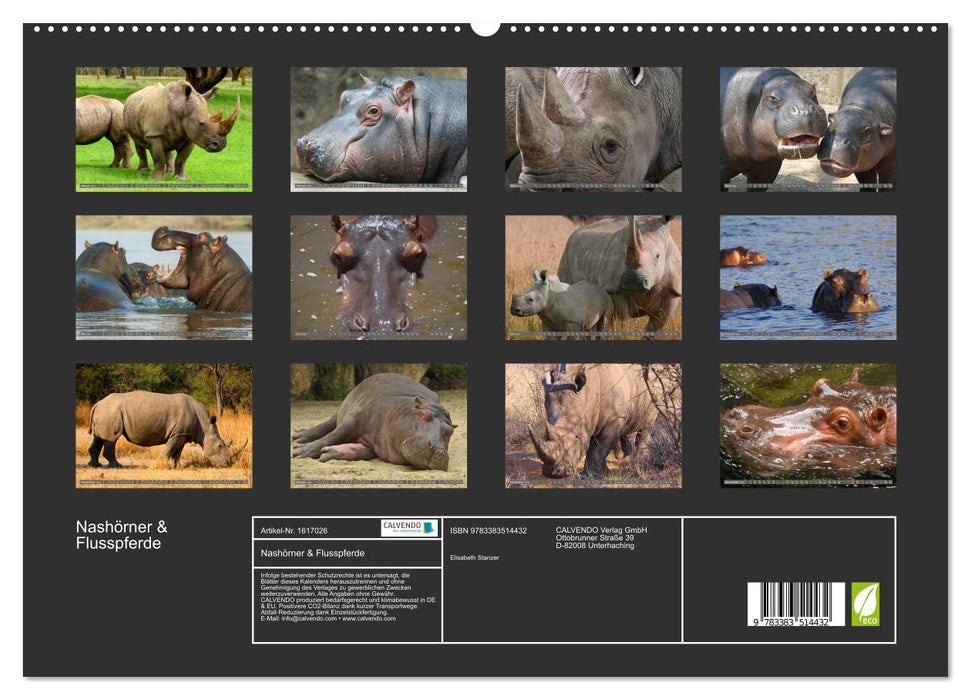 Rhinos &amp; Hippos (CALVENDO Premium Wall Calendar 2024) 