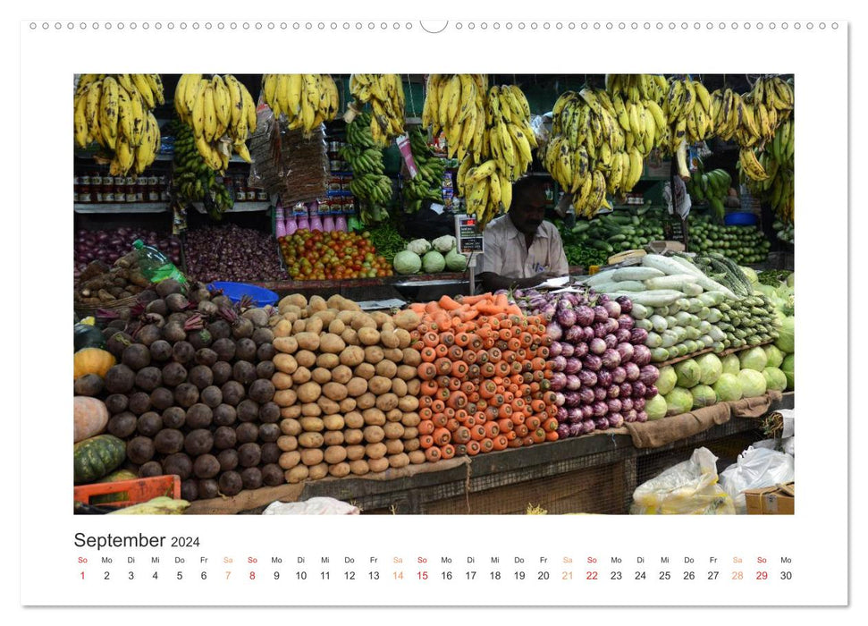 Kerala - Im Süden Indiens (CALVENDO Wandkalender 2024)