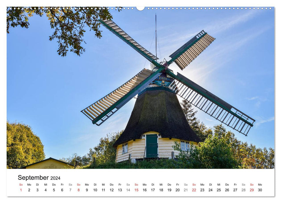 Dithmarschen - The District (CALVENDO Premium Wall Calendar 2024) 