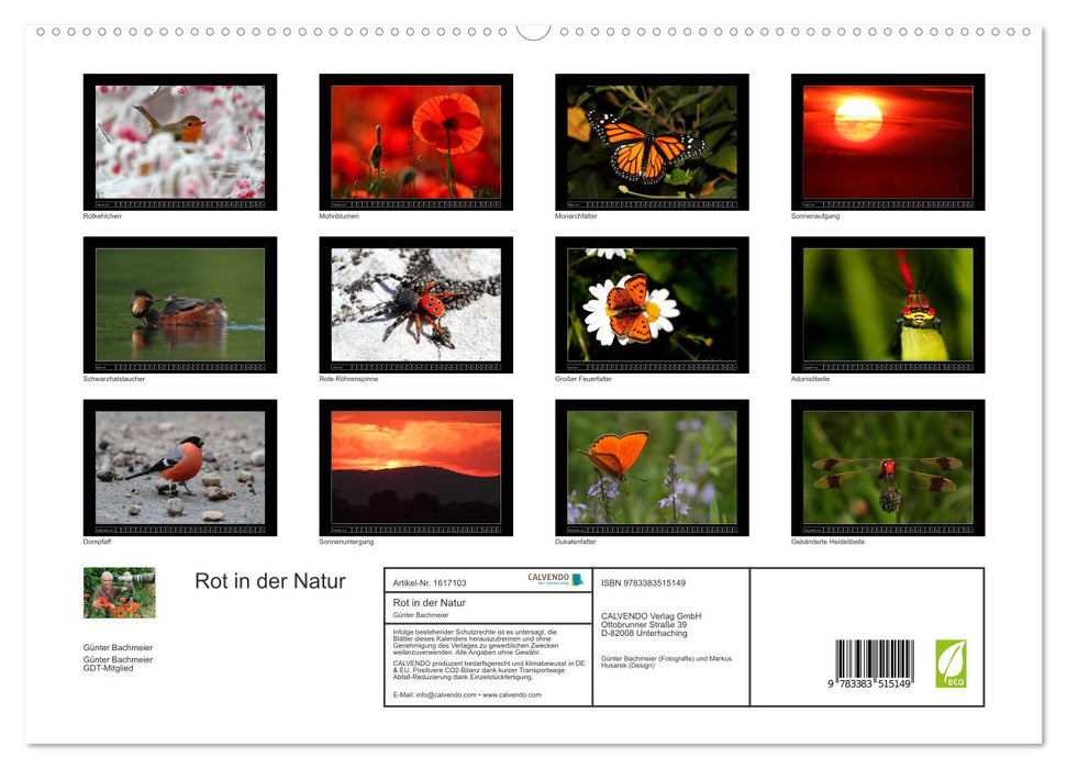 Red in Nature (CALVENDO Premium Wall Calendar 2024) 