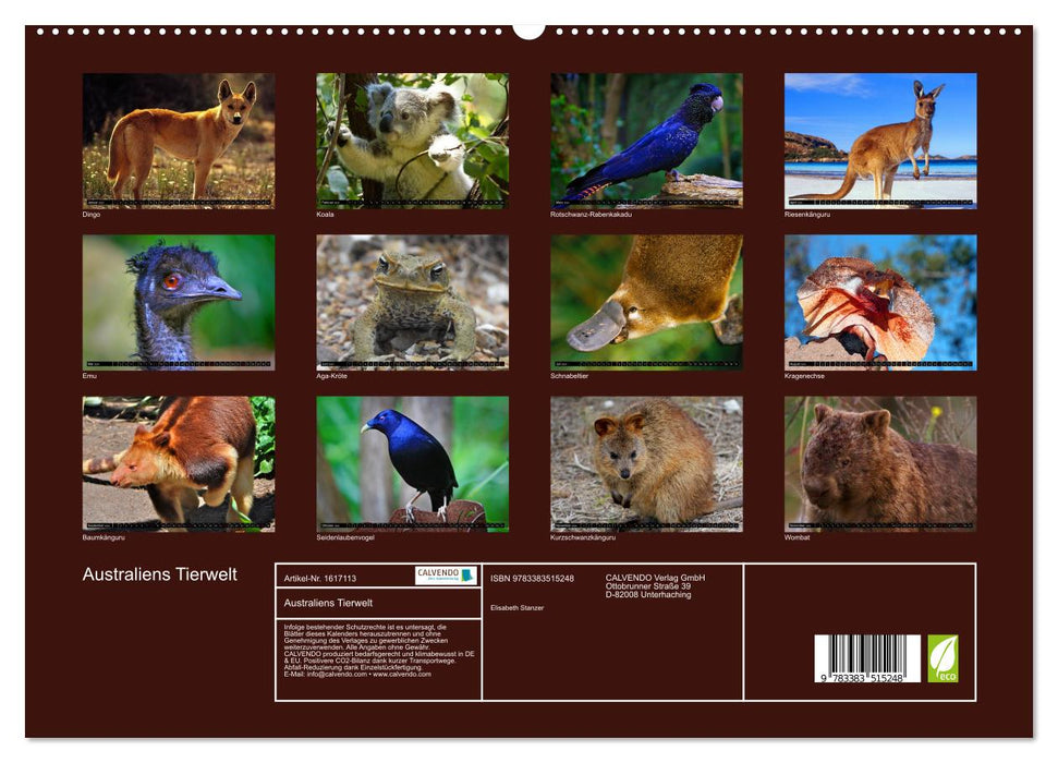 La faune australienne (Calvendo Premium Wall Calendar 2024) 