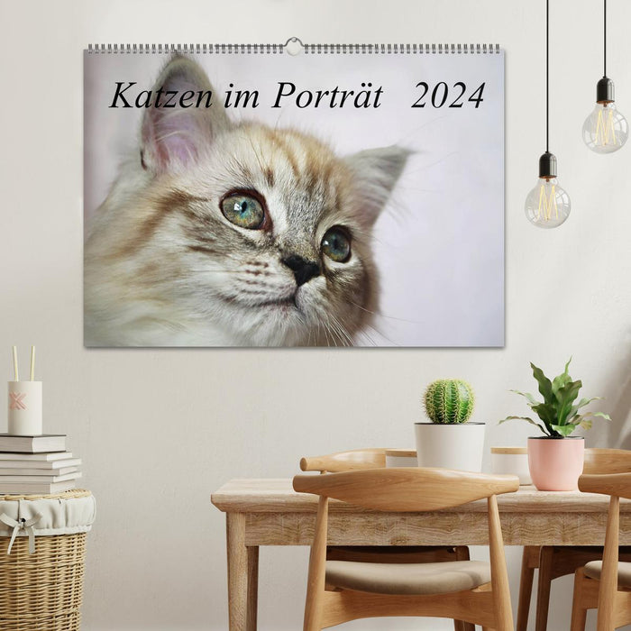 Chats en portrait / calendrier d'anniversaire (calendrier mural CALVENDO 2024) 